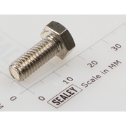 Sealey Hex head set screw m6x16mm single