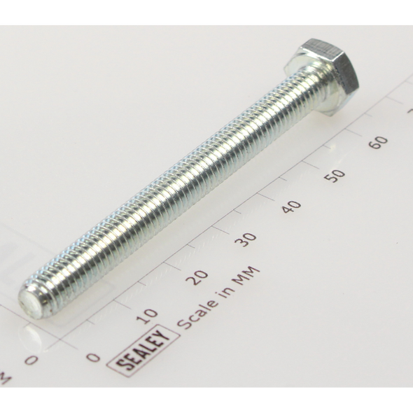 Sealey Hex head set screw m6x60mm single