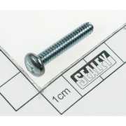 Sealey Screw (10x1")