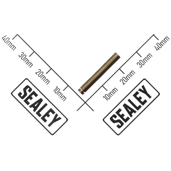 Sealey Valve Stem (One-Way)