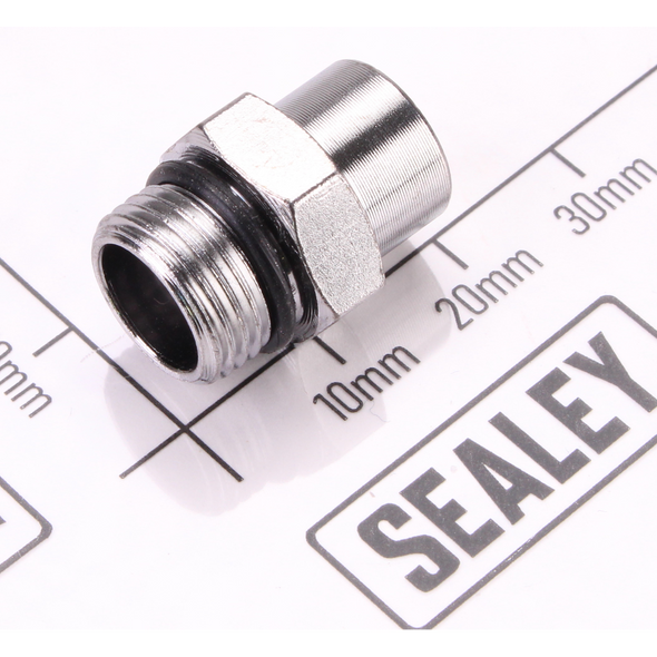 Sealey Seal screw