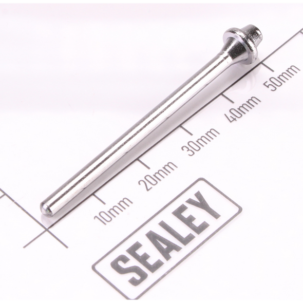 Sealey Seal screw