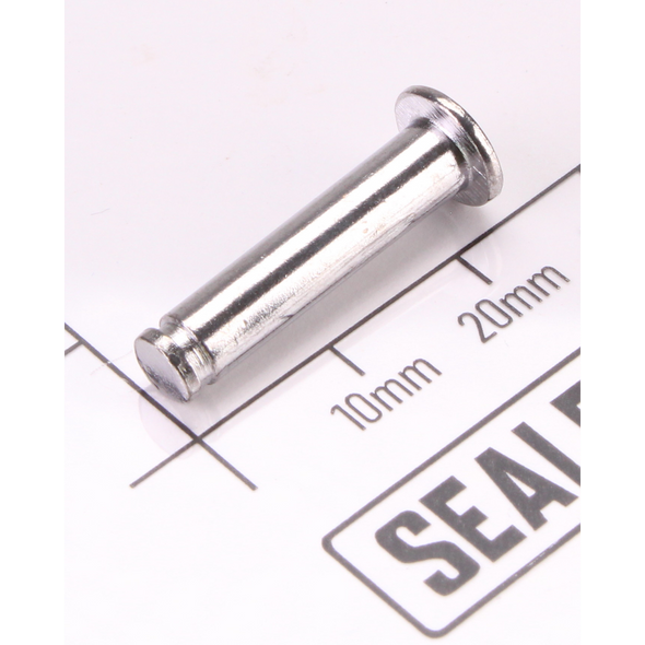 Sealey Sealing screw