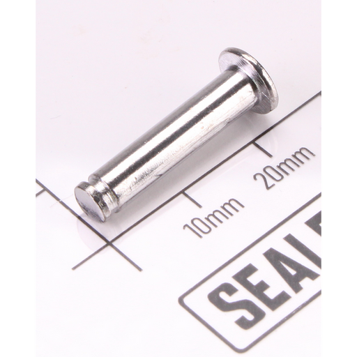 Sealey Sealing screw