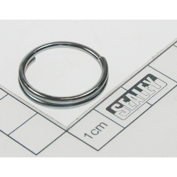 Sealey Chain ring