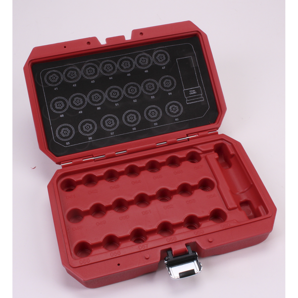 Sealey Blow Mould Case