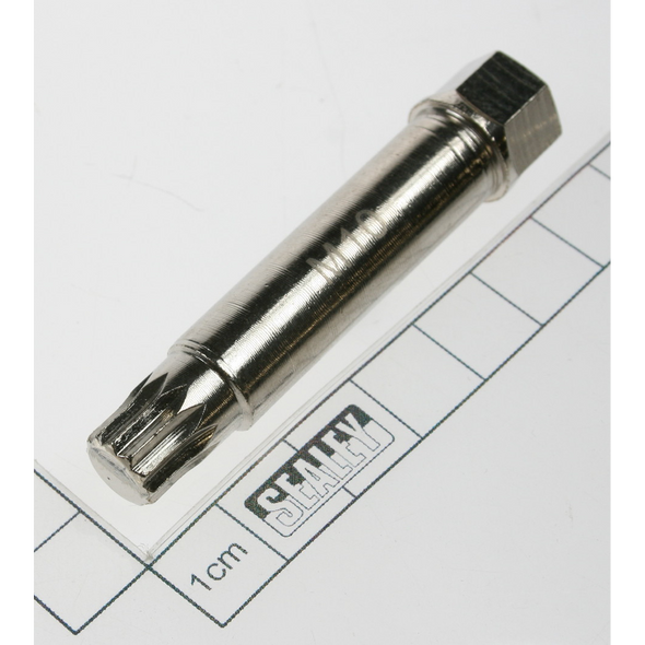 Sealey Spline-hex bit m10xh12