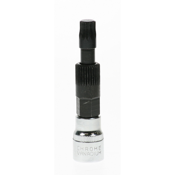 Sealey Spline socket bit 3/8"dr m10