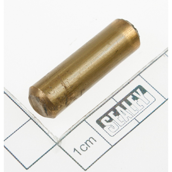 Sealey Pivot Pin