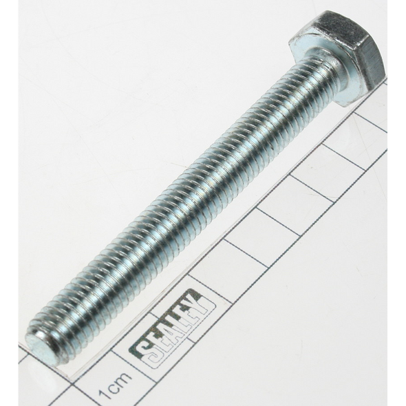 Sealey Screw m10x80mm (so)