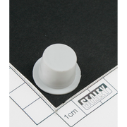 Sealey Spout cap