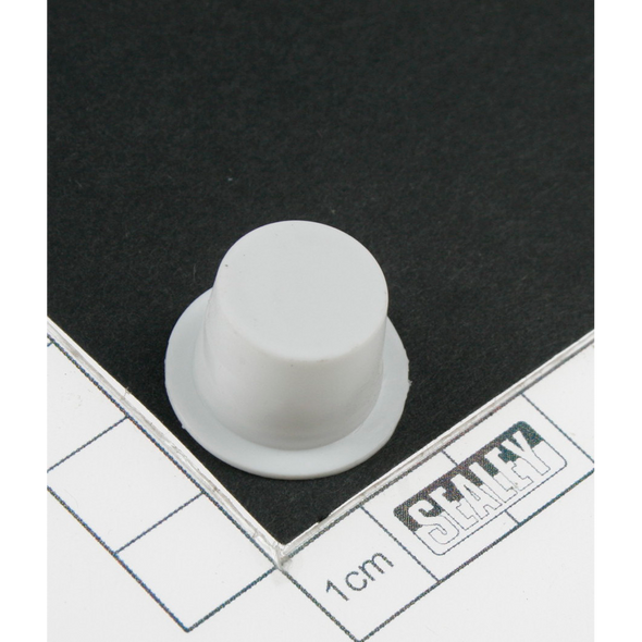 Sealey Spout cap