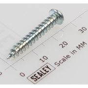 Sealey Rd head s/t screw m4x25