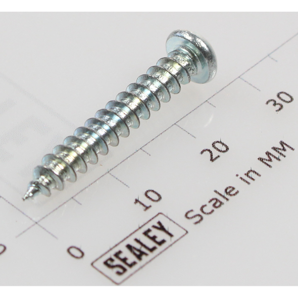 Sealey Rd head s/t screw m4x25