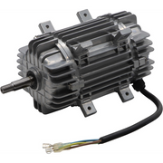 Sealey Motor