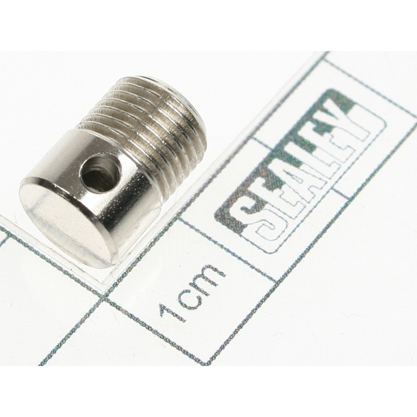 Sealey Plug