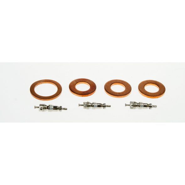 Sealey Valve & seal set