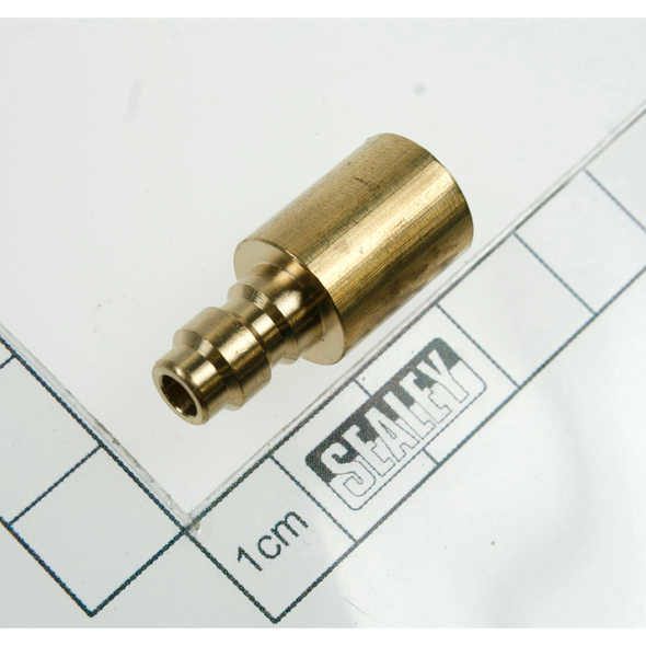 Sealey Brass bung