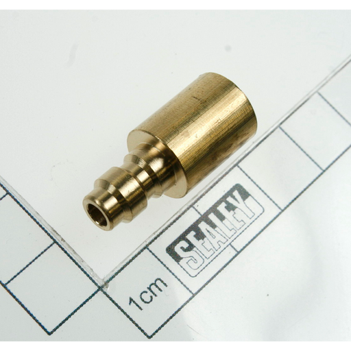 Sealey Brass bung