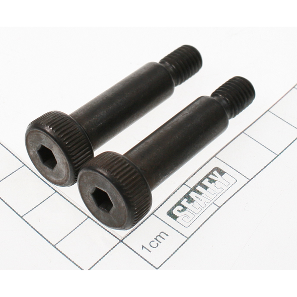 Sealey Camshaft setting bar/pins (pair)