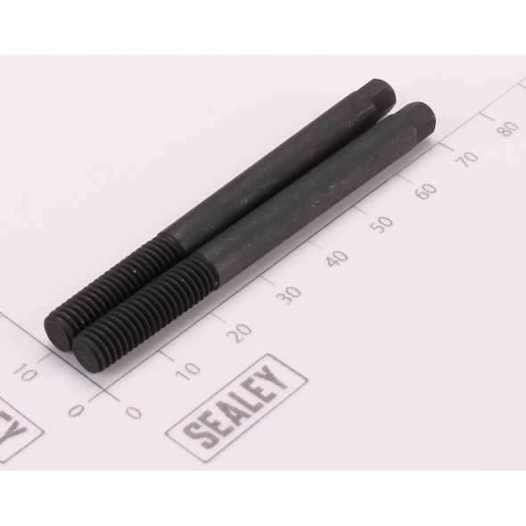 Sealey Extractor Base Screws (Set of 2)