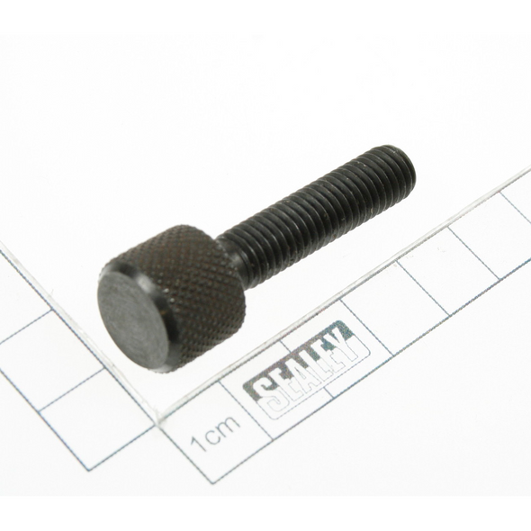 Sealey Exhaust camshaft setting plate securing screw