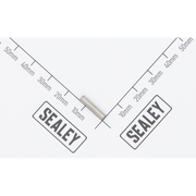Sealey Pin