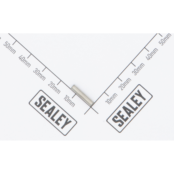 Sealey Pin