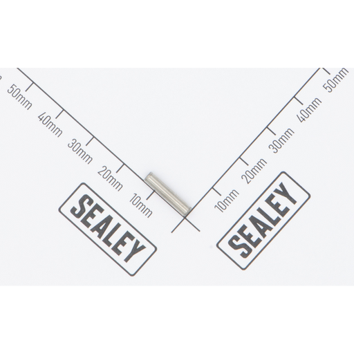 Sealey Pin