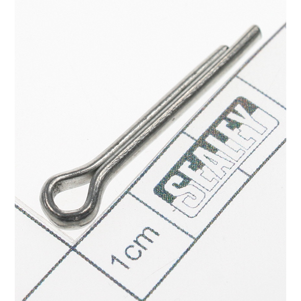 Sealey Pin
