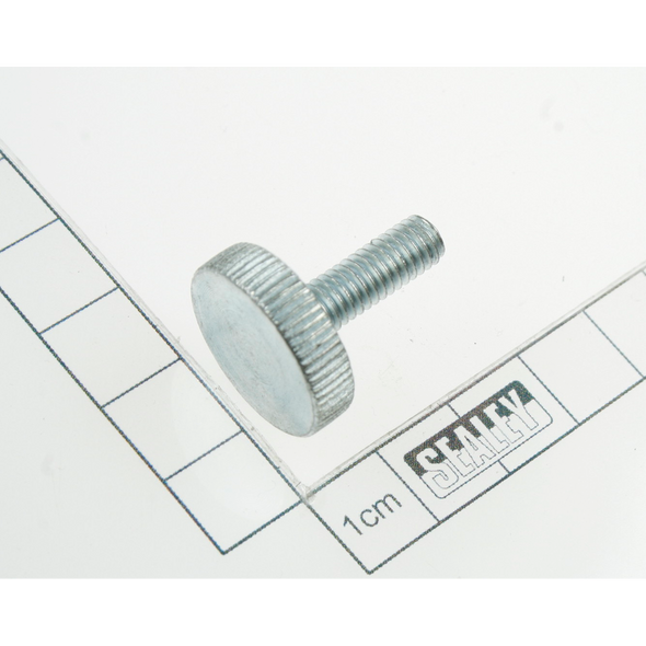 Sealey Screw