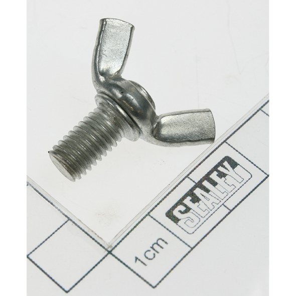 Sealey Screw