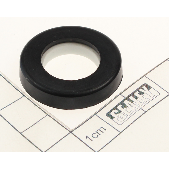Sealey Mechanical seal