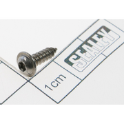 Sealey Screw