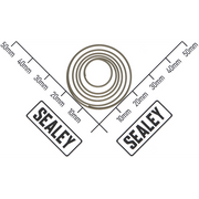 Sealey Spring