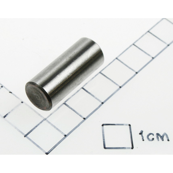 Sealey Pin