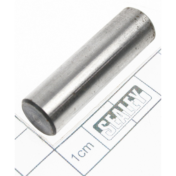 Sealey Pin