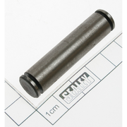Sealey Pin