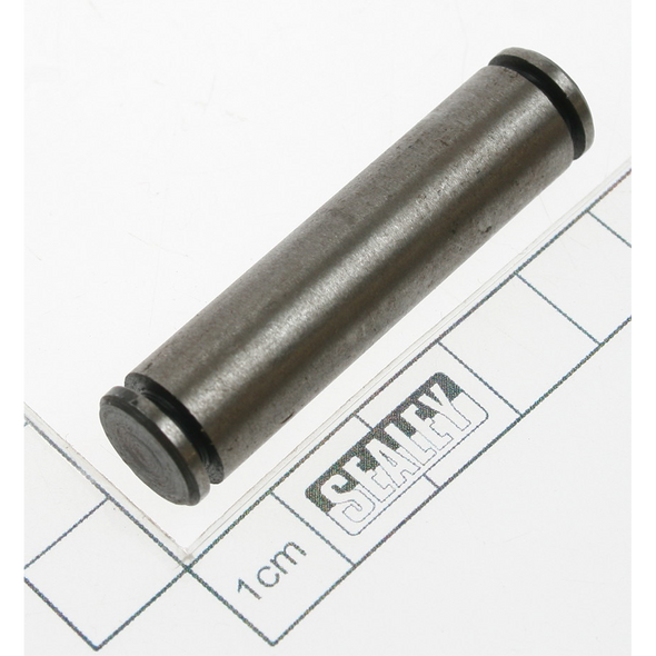Sealey Pin