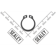 Sealey Circlip