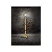 Lighthouse 2000 Single Site Light 18W 110V - AST8615