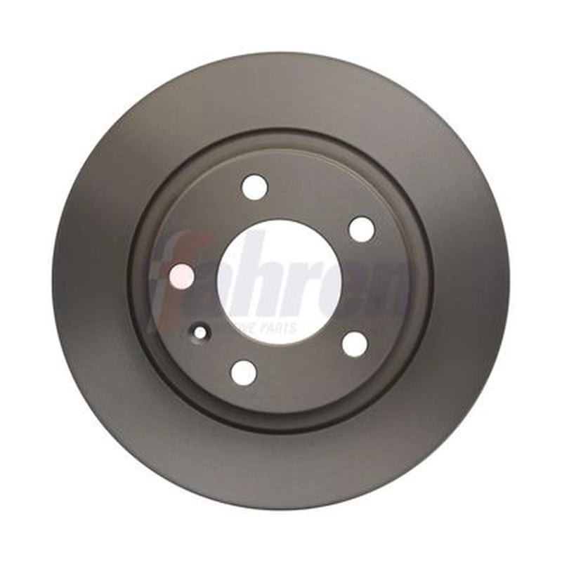 Fahren 2 x Solid Rear Brake Discs FBD6563