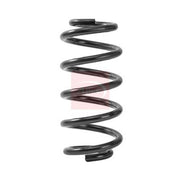 Apec Front Suspension Coil Spring ACS2480