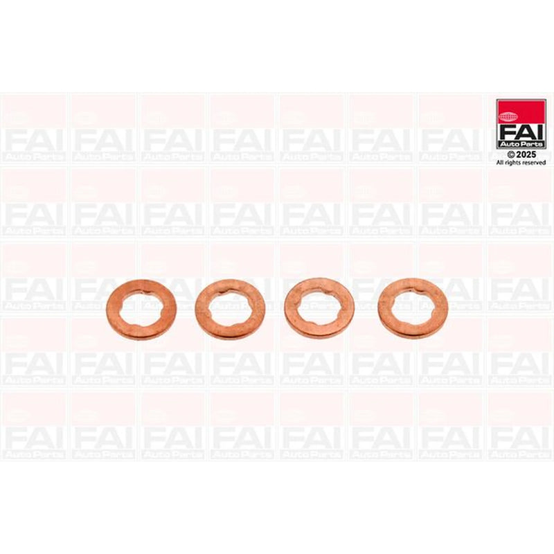 FAI Injector Nozzle Seal Kit IS012