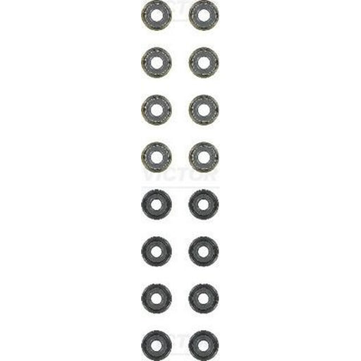 Victor Reinz Valve Stem Seal Set ID High 12-54024-01