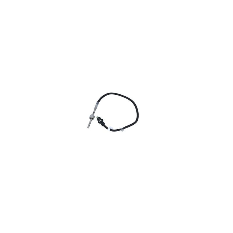 NRF Exhaust Gas Temperature Sensor before soot partic 707164