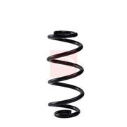 Apec Rear Suspension Coil Spring ACS2145