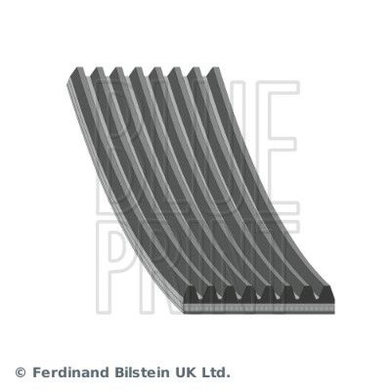 Blue Print Multi V-Ribbed Drive Belt AD08R1230
