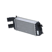 NRF Intercooler (Charge Air Cooler) 309029