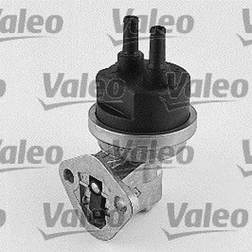Valeo Fuel Pump Assembly 247137